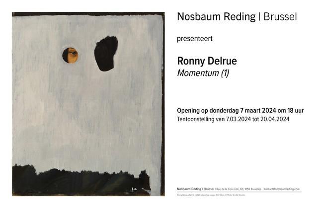 Momentum van Ronny Delrue 
