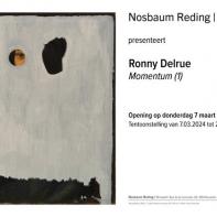 Momentum van Ronny Delrue 